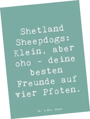 Produktbild von Mr. & Mrs. Panda Postkarte Spruch Shetland Sheepdog Freunde - Meeresbrise - Geschenk, Treue, Hunderassen Beschreibung, Grußkarte, Hunde, Ansichtskarte, Ansichtskarten