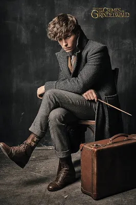 Productafbeelding van Fantastic Beasts - 2 - Newt Scamander - Poster, 61x91,5 cm