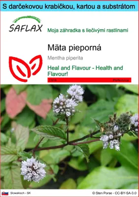 Obrázok produktu pre SAFLAX Darčeková sada - mäta pieporná - Mentha piperita - 300 Semená - S darčekovou krabičkou, prepravným štítkom, darčekovou kartou a pestovateľským médiom