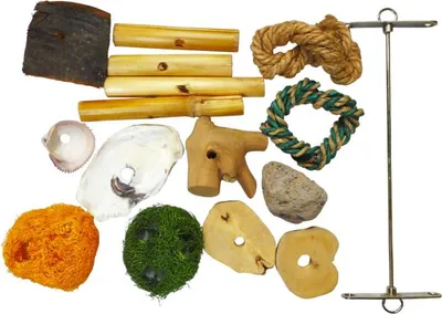 Produktbild von Papageien Diy Spielzeug Set - Kreatives Spielzeug Zum Selbermachen, Natürliche Materialien Für Individuelle Gestaltung