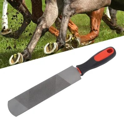 8 Inch Hoefrasp van Koolstofstaal, Ansicht 2 von 9