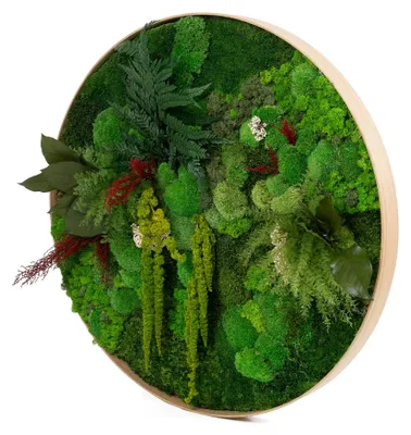 Produktbild von Rundes Moosbild Dschungel Design (⌀80 cm, natur)