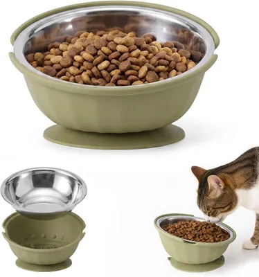 Produktbild von Katzenfutternapf mit 15° Neigung, ergonomisches Design, für Katzen und Hunde, für die Küche