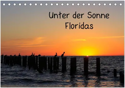 Produktbild von Unter der Sonne Floridas (Tischkalender 2026 DIN A5 quer), CALVENDO Monatskalender