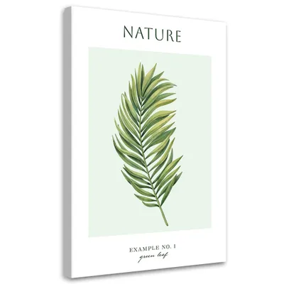 Produktbild von Leinwandbild Grünes Blatt – Natur 70x100 Feeby Grün bild für die wand bereit zum aufhängen