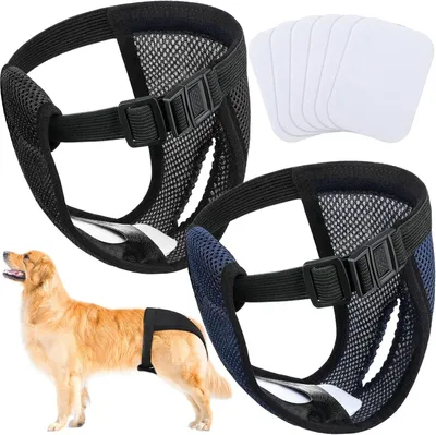 Produktbild von ACE2ACE Haustier Hundebürste Katzenbürste, Haustier Bürsten, Hundebürste Katzenbürste für Langhaar und Kurzhaar, Sauberes Haustierhaar von der Bürste mit Einem Knopf, Blau