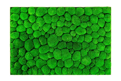 Obrázok produktu pre Obraz Gardners Moss 140x200 cm, biely