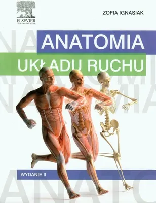 Produktbild von Anatomia ukladu ruchu