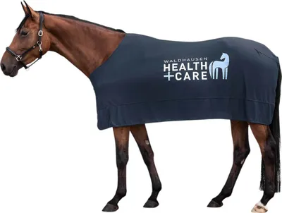Zdjęcie produktu dla Koc chłodzący Waldhausen Health + Care Ice Layer Blanket Night Blue 115 cm