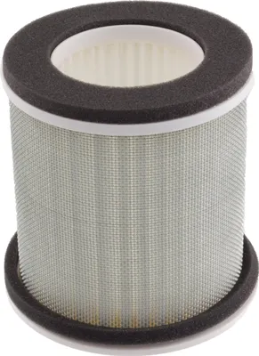 Image de Filtre à air Champion CAF3603