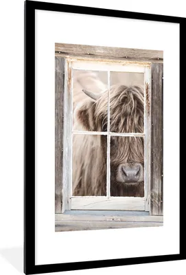 Produktbild von MuchoWow® Gerahmtes Poster Schottischer Highlander - Tier - Ansicht 60x90 cm - Poster mit Schwarzem Bilderrahmen Wandposter Rahmen Foto Bilder - Dekoration - Wandposter Wohnzimmer - Hochwertig
