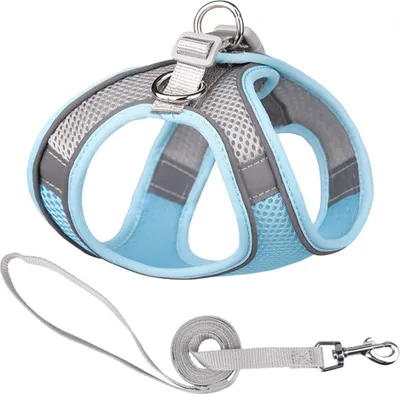 Produktbild von Step in Hundegeschirr und Leine Set - Ziehfreies, fluchtsicheres Westengeschirr mit reflektierenden Baendern, verstellbares Hundegeschirr fuer Nicht mehr als 5kg kleine Hunde (Blau)