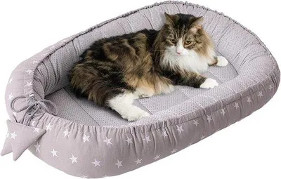 Produktbild von Famanu Katzenbett 75 x 60 x 10 cm – Weiche Schlafstätte für kleine und mittelgroße Hunde und Katzen