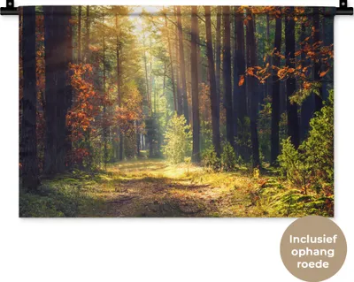 Produktbild von MuchoWow® Wandteppich Wandbehang Wald - Herbst - Bäume 60x40 cm Tapisserie Dekoration Wandtuch - Wanddekorationen
