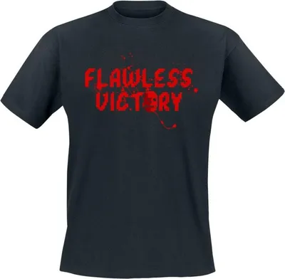 Produktbild von Mortal Kombat T-Shirt Herren Flawless Victory schwarz L