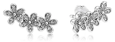 Image de PANDORA Clou d'oreille fleurs en argent sterling 290744CZ