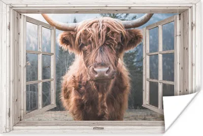 Produktbild von MuchoWow® Poster Schottischer Highlander - Kuh - Berg - Aussicht 180x120 cm - Fotoplakat