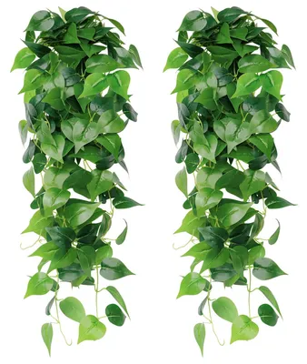 Produktbild von 2 künstliche Hängepflanzen, grüne Dillblätter, Efeukranz, künstliche grüne Girlande, künstliche Kunststoffpflanzen, Hängekörbe für Haus und Garten, Wanddekoration