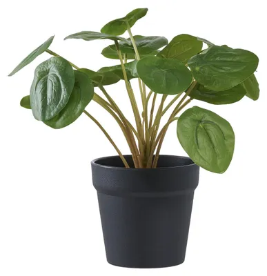 Image de Pelia - Plante artificielle verte de table H28 cm