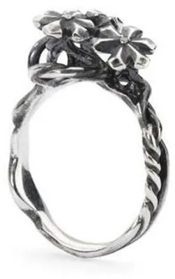 Produktbild von TROLLBEADS Mod. TAGRI-00304