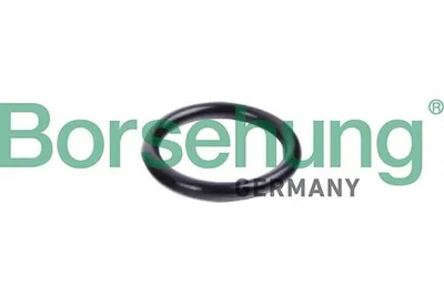Produktbild von Borsehung Dichtring Kühlmittelrohrleitung B10632 für VW Golf IV Schrägheck (1J1)