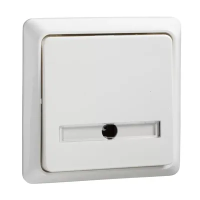 Produktbild von Elso Taster 42V/1A Aufputz mit Schriftfeld RENOVIERUNG reinweiß 506224