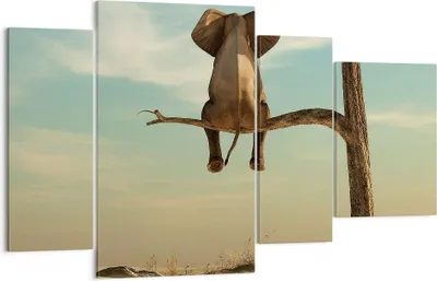 Produktbild von Bild auf Leinwand - Leinwandbild - 4 Teile - Elefant sitzend Ast - 120x70cm - Wand Bild - Wanddeko - Wandbilder - Leinwanddruck - Bilder - Wanddekoration - Leinwand bilder - Wandbild - DL120x70-4557