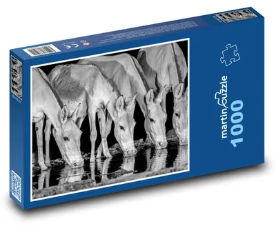 Zdjęcie produktu dla martinpuzzle - Puzzle 1000 elementów - Dzikie zwierzęta