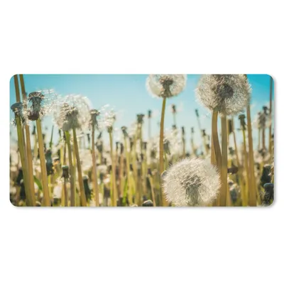 Produktbild von MuchoWow® Mauspad Mousepad Blumen - Löwenzahn - Gras 60x30 cm - Mousepads - Maus Mat - Pad - Mausunterlage - Nachhaltig