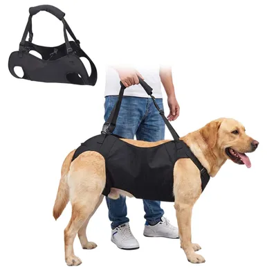 Immagine prodotto di Trasportino regolabile per cani con disabilità