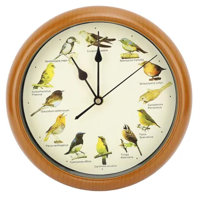 Wanduhr mit 12 Vogelstimmen, 26 cm, Braun, Naturgeräusche, Nachtruhe