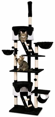 Produktbild von lionto Kratzbaum mit Deckenspanner, 230-250 cm großer Aktivitätsturm mit 2 Höhlen, 2 Liegemulden, Treppen & Spielbällen, schwarz/weiß