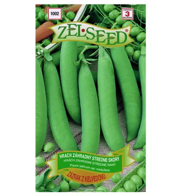 Produktbild von Samen - ERBSE ´ZÁZRAK Z KELVEDONU' 40 g