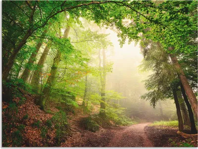 Produktbild von ARTland Wandbild Alu für Innen & Outdoor Natürliche Torbögen durch Bäume Größe: 40x30 cm