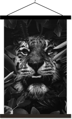 Produktbild von MuchoWow® Textilposter Tiger zwischen den Pflanzen - schwarz und weiß 120x180 cm mit schwarzem Rahmen - Fotos