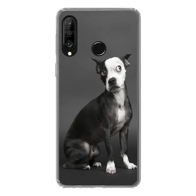 Produktbild von MuchoWow® Handyhülle Schutzhülle Hülle für Huawei P30 Lite Hund - Spot - Porträt Silikon Softcase Handy Hülle