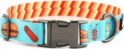 Produktbild von Hundehalsband mit Namen und Telefonnummer für Welpen und kleine Hunde XS