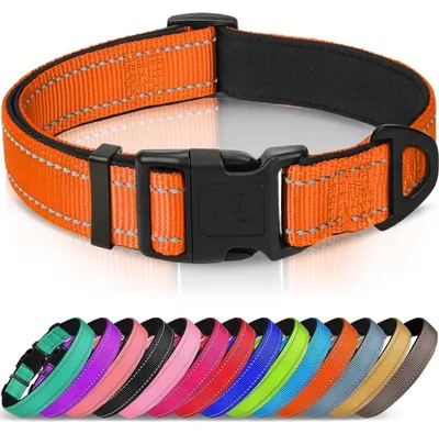 Obrázek produktu pro Obojek pro psy, polstrovaný, neopren, nylon, nastavitelný, oranžová barva