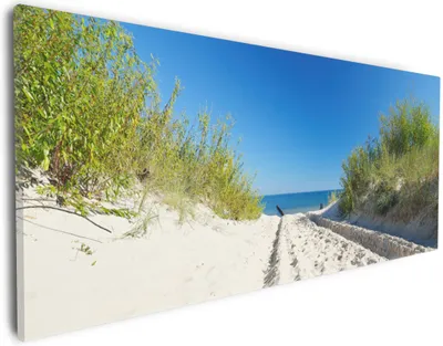 Produktbild von Wallario Premium Leinwandbild Auf dem Sandweg zum Strand - Blauer Himmel über dem Meer in Größe 30 x 75 cm