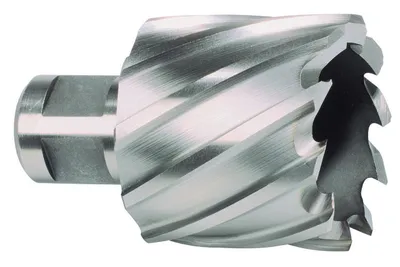 Obrázok produktu pre Jadrový vrták D.20mm HSS Cut-T.30mm Weldon RUKO