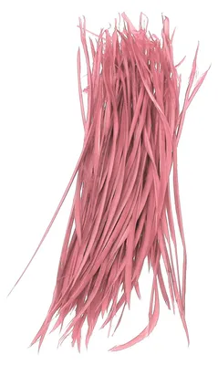 Kunstfedern 100 Stück, 13–17 cm, Gänsefedern, wassermelonenrot, für Basteln