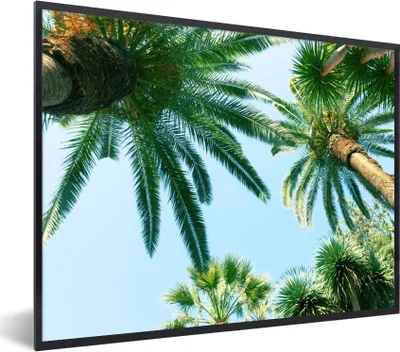 Produktbild von MuchoWow® Gerahmtes Poster Palmwedel - Himmel - Sommer - Tropisch 40x30 cm - Poster mit Schwarzem Bilderrahmen Wandposter Rahmen Foto Bilder - Kunstposter - Wanddekorationen