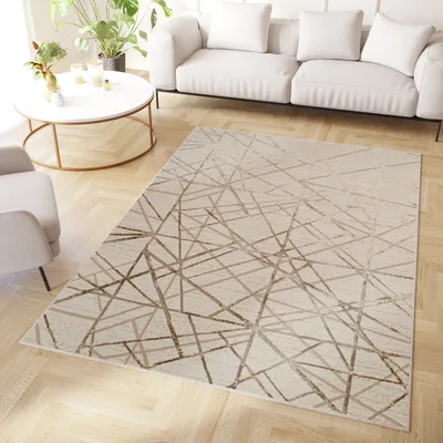 Obrázek produktu pro Tapiso Koberec Crystal Modern Brown Beige Obývací pokoj 80 x 150 cm
