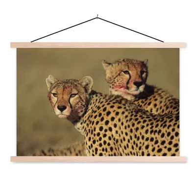 Produktbild von MuchoWow® Textilposter Zwei Geparden in der Savanne 120x80 cm mit holzfarbenen Rahmen - Aufhängeset