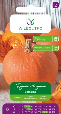 Zdjęcie produktu dla Nasiona Dynia olbrzymia Bambino 4g - W.Legutko