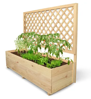 Produktbild von Pflanzkasten mit Rankgitter Größe XL