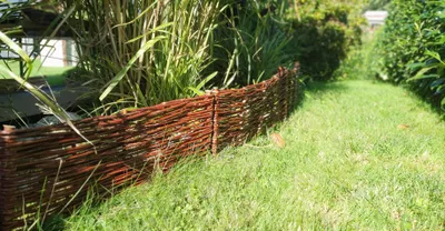 A low-angle shot of a woven willow border fence in a garden setting, with lush green grass and tall reeds.