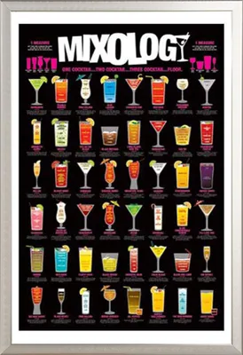 Immagine prodotto di Fun - Poster - Mixology + cornice rimovibile, Shinsuke® Maxi alluminio argento, vetro acrilico