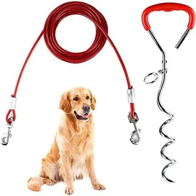 Produktbild von Famanu Hundeleine mit Bodenanker - Spiraldorn für Hunde