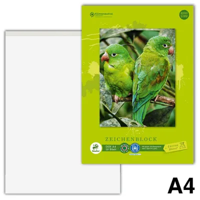 Image de Edition Dürer 055429000 Bloc à dessin green DIN A4